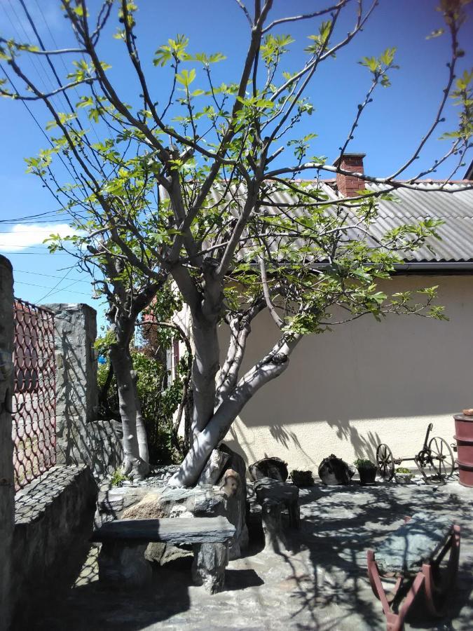 Apartmani Pinkum Veliko Gradiste Exterior photo